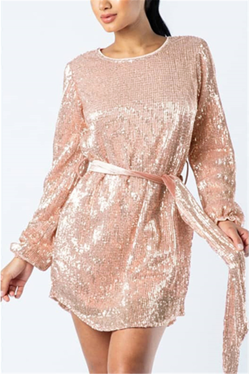 Fashion Casual Sequins Long Sleeve Champagne Perspective Dress