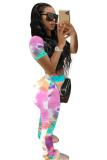 Pink Fashion Sexy adult Patchwork Print Tie Dye Two Piece Suits Straight Short Sleeve Two Pieces