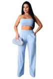 Sky Blue Fashion Sexy adult Patchwork Solid Two Piece Suits Straight Sleeveless Two Pieces