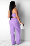 purple Fashion Sexy adult Patchwork Solid Two Piece Suits Straight Sleeveless Two Pieces