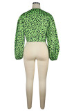 Green Red Blue Green Brown V Neck Long Sleeve Leopard Patchwork Print Tops
