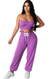 purple Fashion Casual adult Ma'am Patchwork Solid pencil Sleeveless Two Pieces