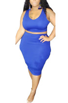 Blue Polyester Fashion Sexy adult Ma'am O Neck Patchwork Solid Two Piece Suits Stitching Plus Size 