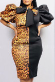 Zwart nylon mode volwassen mevrouw straat sjaal kraag patchwork print asymmetrische contrast kleur stiksels plus size