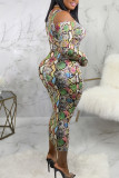 многоцветный сексуальный многоцветный с длинными рукавами асимметричный воротник платье-карандаш до середины икры печати сломанные цветы цепи платья