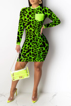 Vestidos casuais verdes manga longa escalonada mini estampa de leopardo