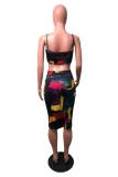 Multi-color Sexy Fashion Casual Patchwork Print Regular Two-Piece Dress