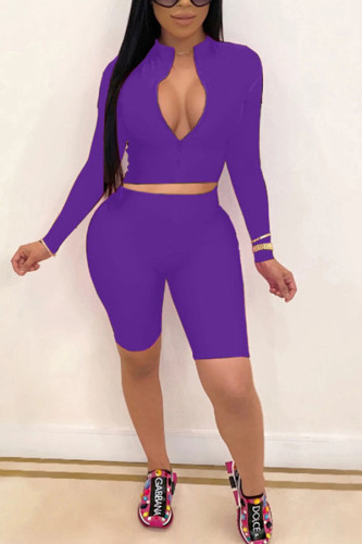 purple Polyester Fashion Sexy adult Ma'am Solid Two Piece Suits pencil Long Sleeve Two Pieces