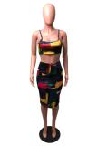 Multi-color Sexy Fashion Casual Patchwork Print Regular Two-Piece Dress