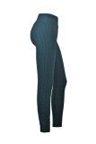 Light Blue Elastic Fly High Solid pencil Pants Bottoms