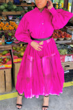 rosa röd Casual Patchwork Solid Mesh utan bälte Mandarinkrage Oregelbunden klänning Plus Size Klänningar