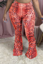 Красные эластичные брюки средней длины с леопардовым принтом