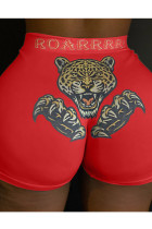 Red Elastic Fly Mid Animal Prints shorts Bottoms