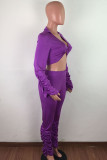 purple OL Solid Draped crop top Boot Cut Long Sleeve Two Pieces