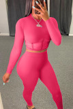 Pink Blends Sexy Patchwork Solid Mesh pencil Long Sleeve Two Pieces