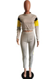 Grey Casual Patchwork Solid asymmetrical pencil Long Sleeve Two Pieces