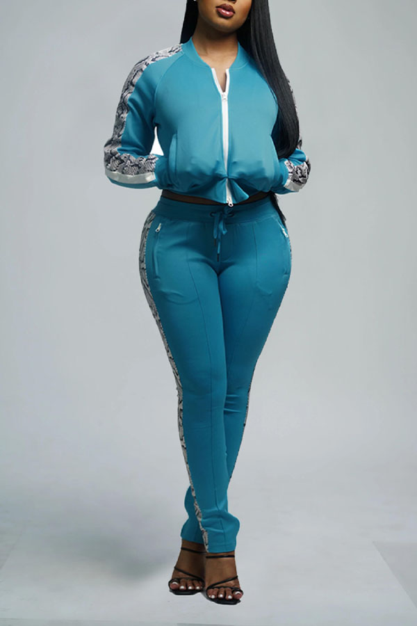 

Light Blue Sportswear Polyester Solid Split Joint Zipper Collar Long Sleeve Regular Sleeve Regular Two Pieces