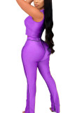 purple Sexy Solid Patchwork Sleeveless Short Two Pieces