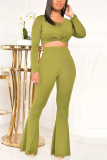 Verde casual sólido pullovers calças básico o pescoço manga longa manga regular curta duas peças