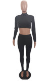 Black Sexy Solid O Neck Long Sleeve Regular Sleeve Short Two Pieces