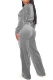 Grey Casual Flocking Solid Pants Zipper Collar Long Sleeve Regular Sleeve Short Two Pieces