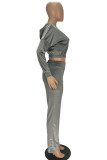 Grey Casual Flocking Solid Pants Zipper Collar Long Sleeve Regular Sleeve Short Two Pieces