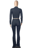 purple Fashion Sexy Street Party Solid Fold Pullovers Pants Half A Turtleneck Long Sleeve Regular Sleeve Regular Two Pieces
