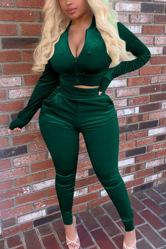 Black Green Street Pleuche Solid V Neck Long Sleeve Regular Sleeve Regular Two Pieces