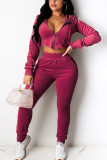 Pink Fashion Casual Adult Flocking Solid Draw String Hooded Collar Long Sleeve Regular Sleeve Short Two Pieces