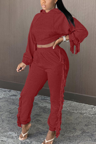 Wine Red Casual Solid Tassel Hooded Collar Long Sleeve Regular Sleeve Two Pieces