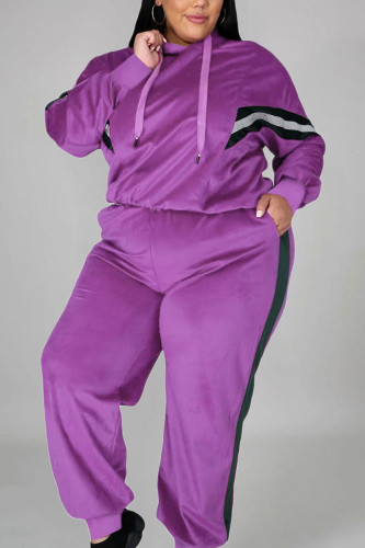 purple Casual Solid Hooded Collar Plus Size 