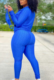 Blue Sexy Sportswear Patchwork Zipper Collar Long Sleeve Two Pieces (With Mask)