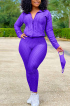 purple Sexy Sportswear Patchwork Zipper Collar Long Sleeve Two Pieces (With Mask)