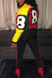 Красный Повседневная спортивная одежда С принтом Пэчворк Воротник-молния с длинным рукавом Из двух частей