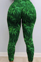 Зеленые сексуальные брюки скинни с принтом