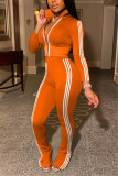 オレンジ ファッション カジュアル ストライプ パッチワーク パッチワーク ジッパー 襟 長袖 ツーピース