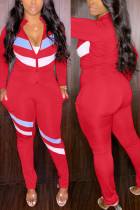 Красный Повседневная спортивная одежда Пэчворк Пэчворк Воротник-молния с длинным рукавом Из двух частей