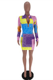 Multicolor Fashion Casual Print Basic Reißverschluss Kragen Langarm Kleider