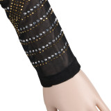 Черная мода для взрослых Сексуальная шапочка с длинными рукавами и круглым вырезом Хип-юбка длиной до колен, сетка, перспектива d