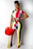Röd Sexig Modebandage Randig Asymmetrisk Patchwork Kortärmad Peter Pan Krage Jumpsui