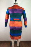 Multicolor Mode Casual Grote maten print Basic O-hals bedrukte jurk