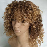Brown Fashion Hign-temperature Resistance Curly Hair Wigs