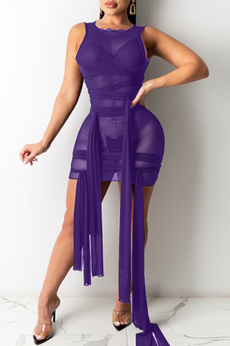 Púrpura Sexy Sólido Transparente O Cuello Vestido Irregular Vestidos