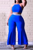 Deep Blue Sexig Casual Solid Backless Spaghetti Strap Plus Size Two Pieces