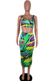 Green Sexy Casual Print Basic U Neck Sleeveless Two Pieces