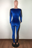 Royal Blue Fashion Sexy Patchwork See-through Regular Jumpsuits