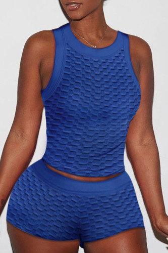 Blue Sexy Solid Patchwork O Neck Sleeveless Two Pieces