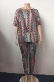 Multicolor Fashion Casual Print Basic O Neck Plus Size Two Pieces