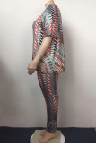 Multicolor Fashion Casual Print Basic O Neck Plus Size Two Pieces