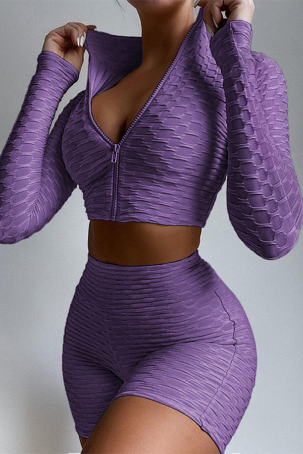Violet Casual Sportswear Solid Basic Zipper Collar Long Sleeve Two Pieces